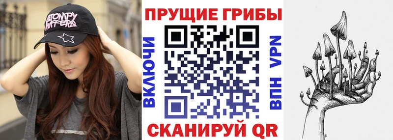 Псилоцибиновые грибы мицелий  Осинники 