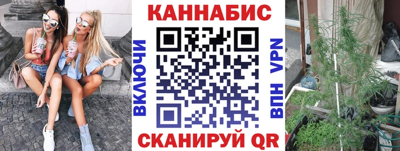 мориарти как зайти  Осинники  Шишки марихуана план  где можно купить наркотик 